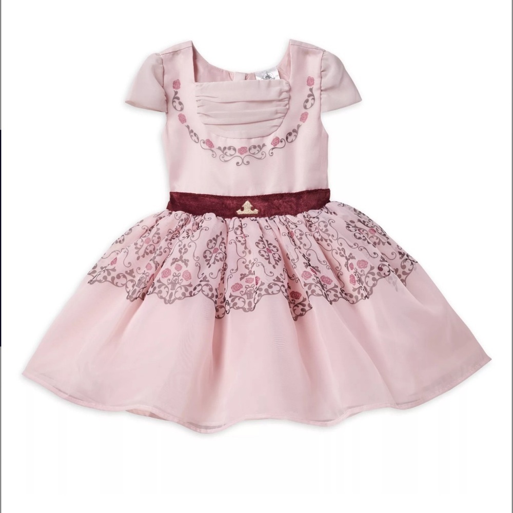🎀Disney Princess Aurora/ Sleeping Beauty Pink Floral Embroidered Party Dress